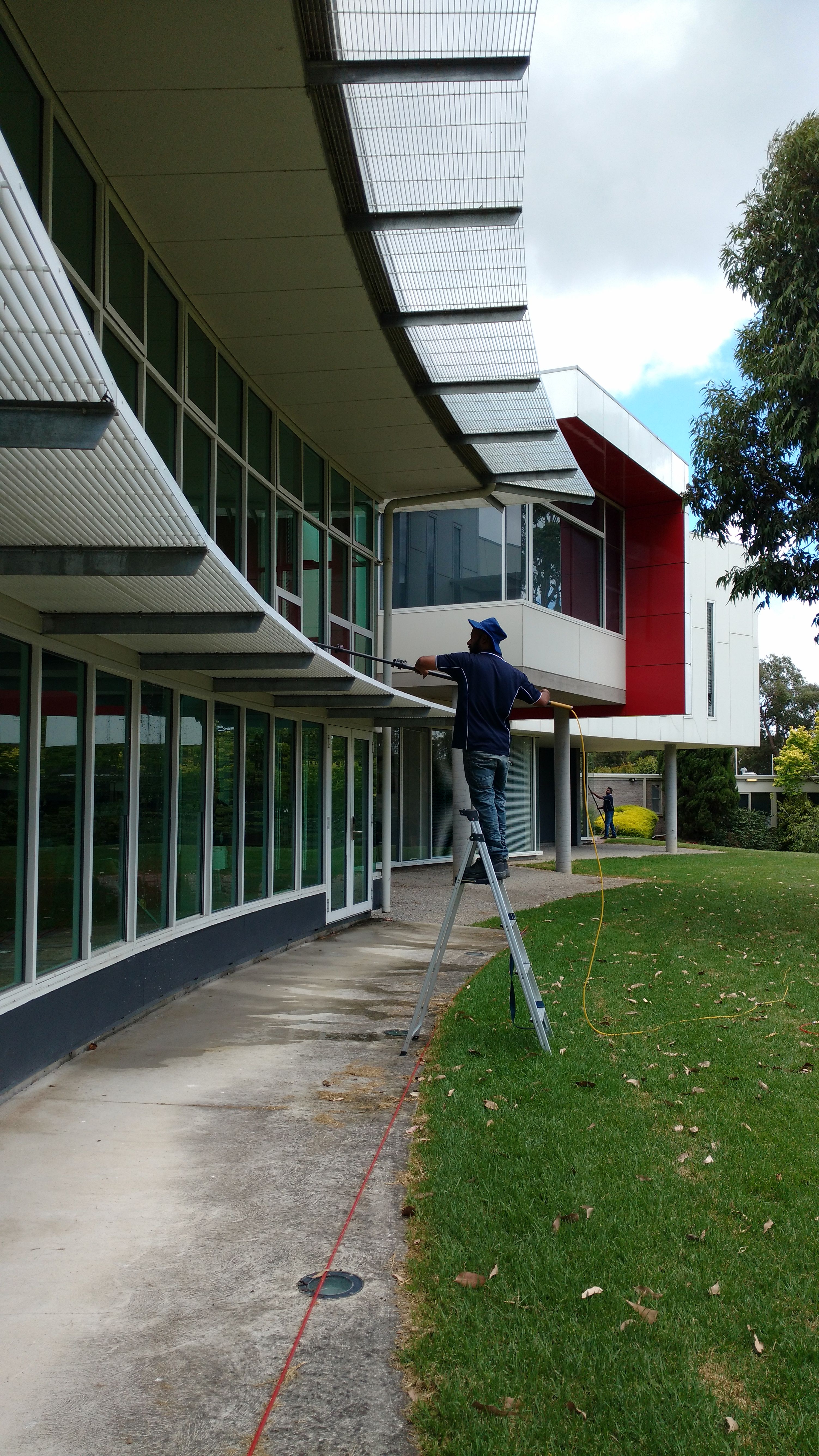 Window cleaner on a ladder using a water-fed pole to reach upper-storey windows — water-fed pole window cleaning