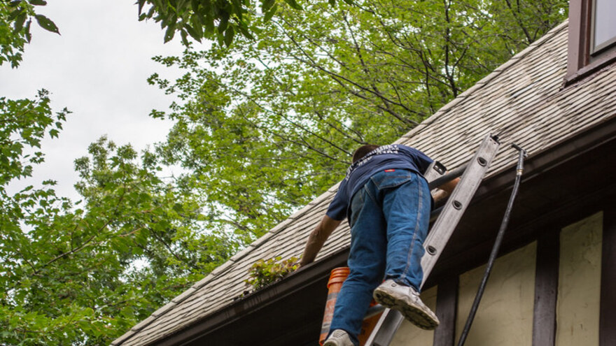Tradesperson climbing a ladder to a house gutter carrying a bucket — gutter cleaning and clearing